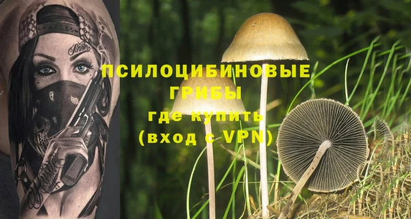 марки lsd Осинники