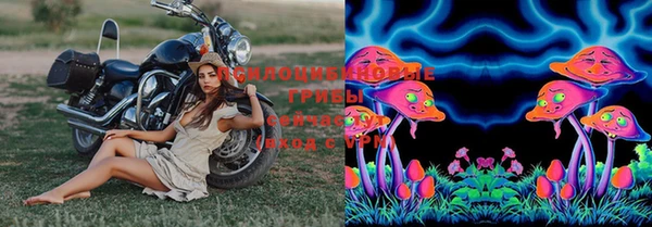 марки lsd Осинники