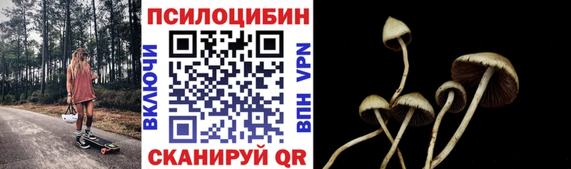 наркошоп  Жуковский  omg ссылки  Псилоцибиновые грибы мицелий 