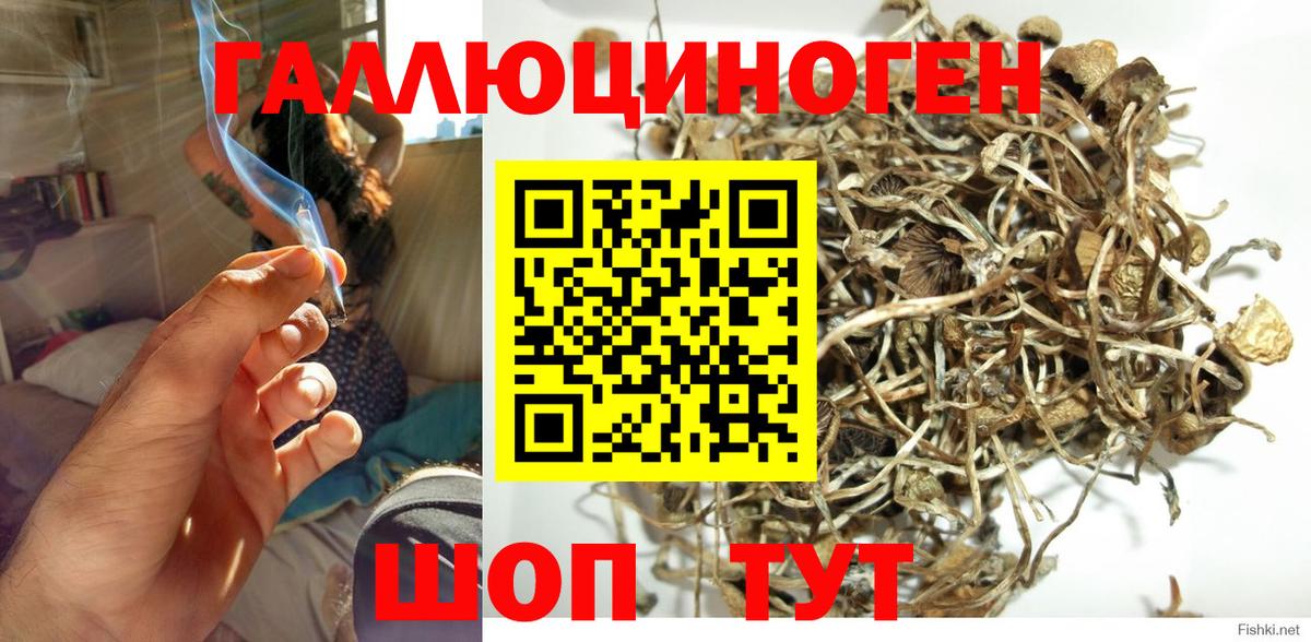 Галлюциногенные грибы мухоморы Жуковский