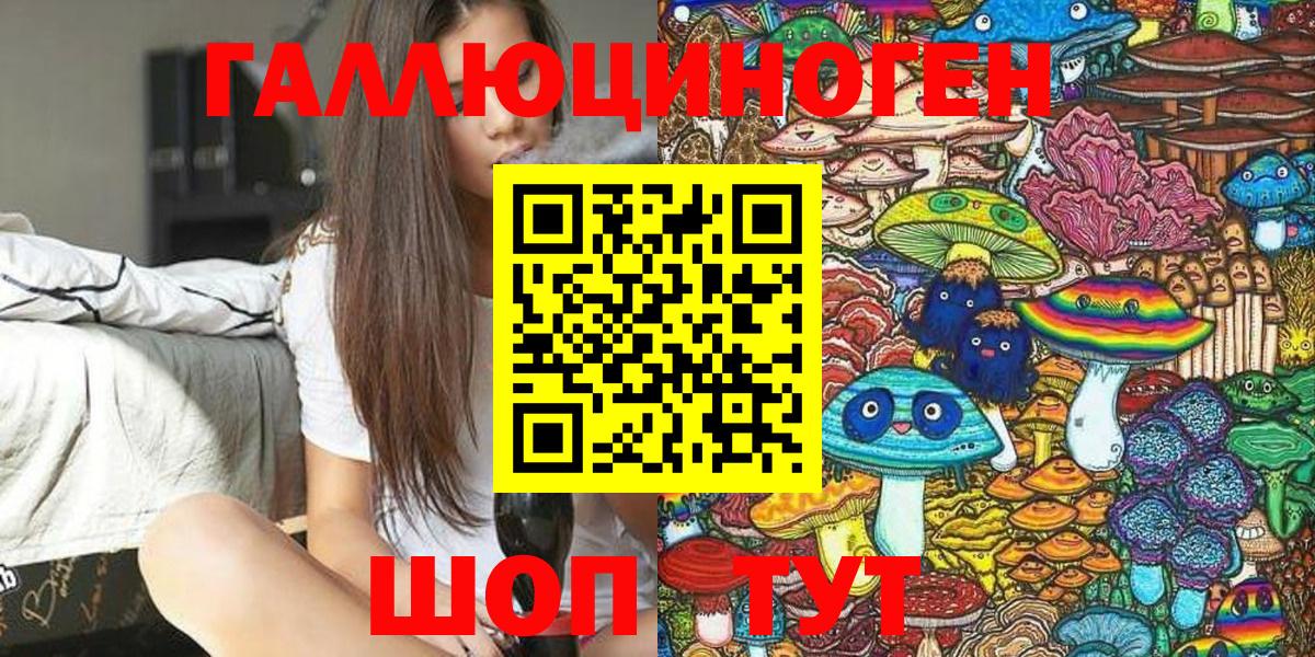 Галлюциногенные грибы Psilocybe Жуковский